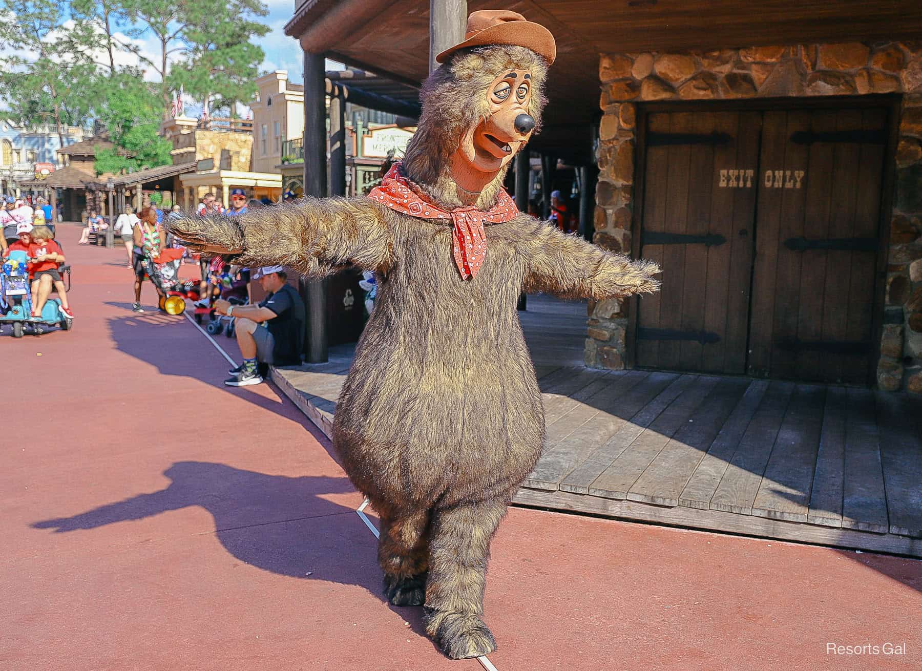 Terrence Shaker, one of the Country Bears at Magic Kingdom 