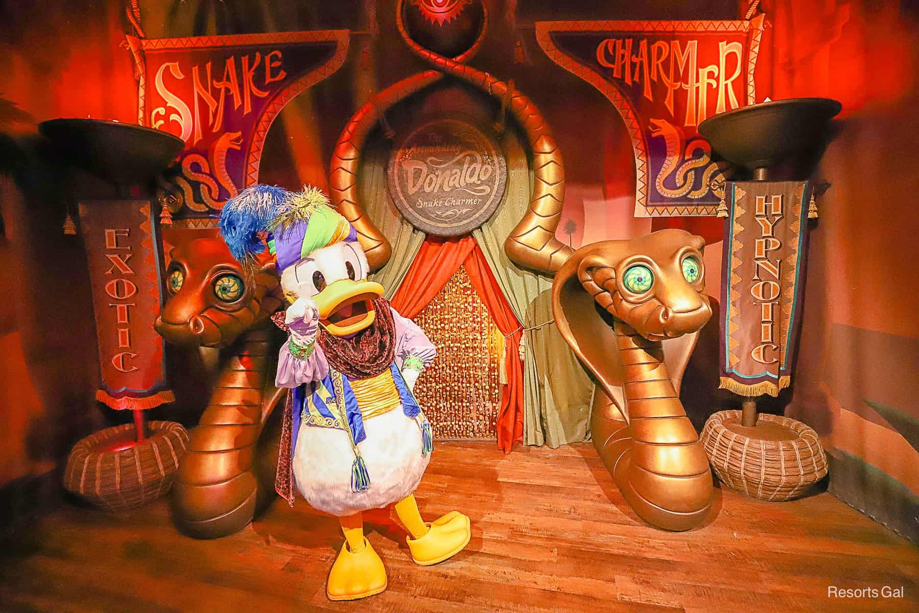 Donald Duck at Magic Kingdom poses as a snake charmer at Pete's Silly Sideshow 