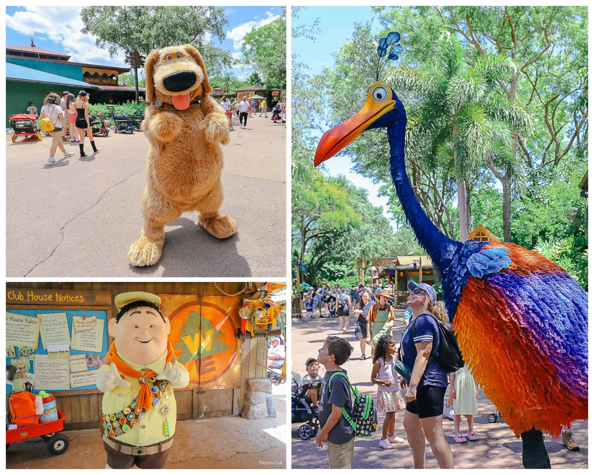 How to Find 3 Characters From Disney Pixar’s ‘Up’ at Disney’s Animal Kingdom