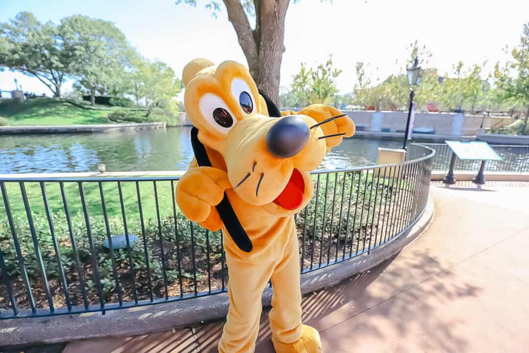 Where To Meet Pluto at Epcot (Near the International Gateway)