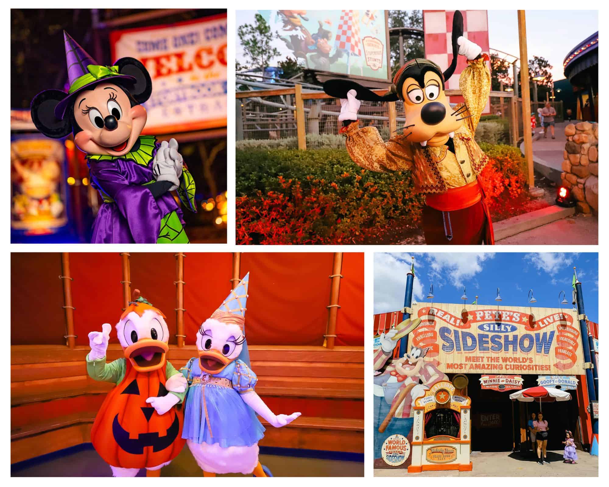 a collage that shows Minnie, Goofy, Donald and Daisy Duck in their Halloween costumes 