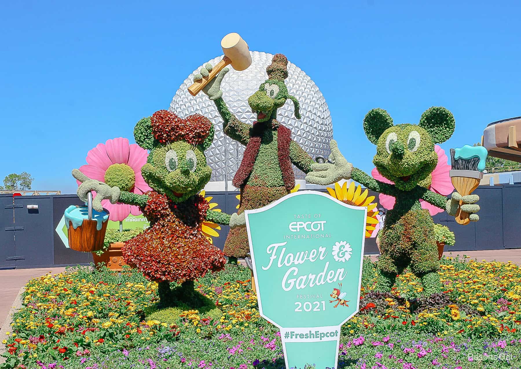 2021 Mickey and Minnie topiary with Goofy celebrating the re-construction of Epcot