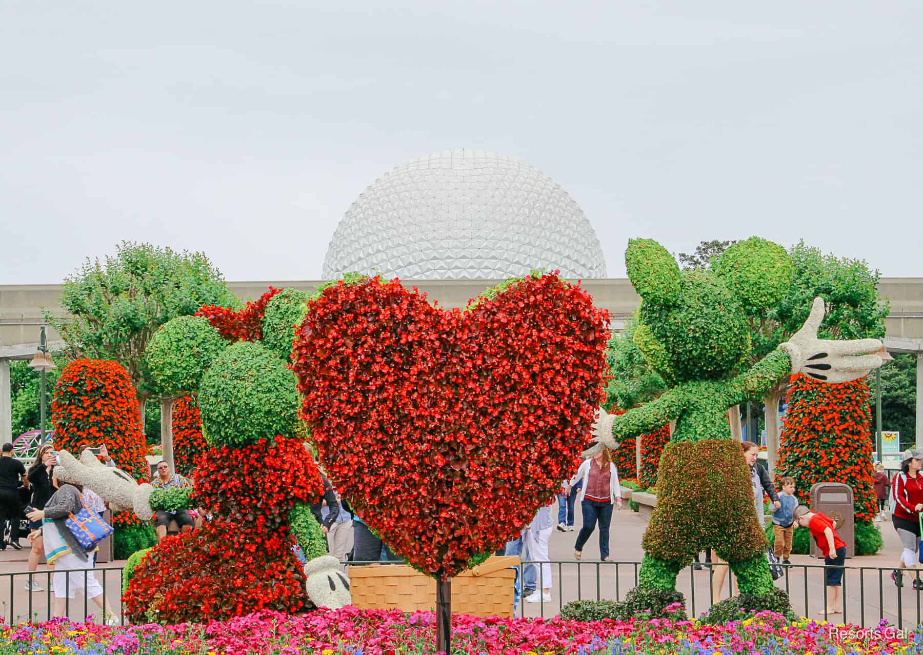 Mickey and Minnie topiary in vibrant red with a heart shaped topiary of begonias between them. 