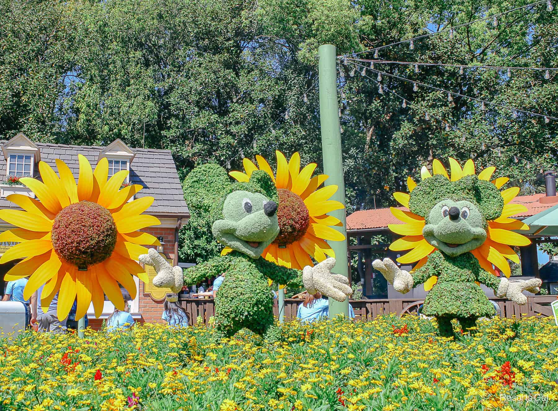 smaller Mickey and Minnie topiaries with sunflowers in the American Pavilion 