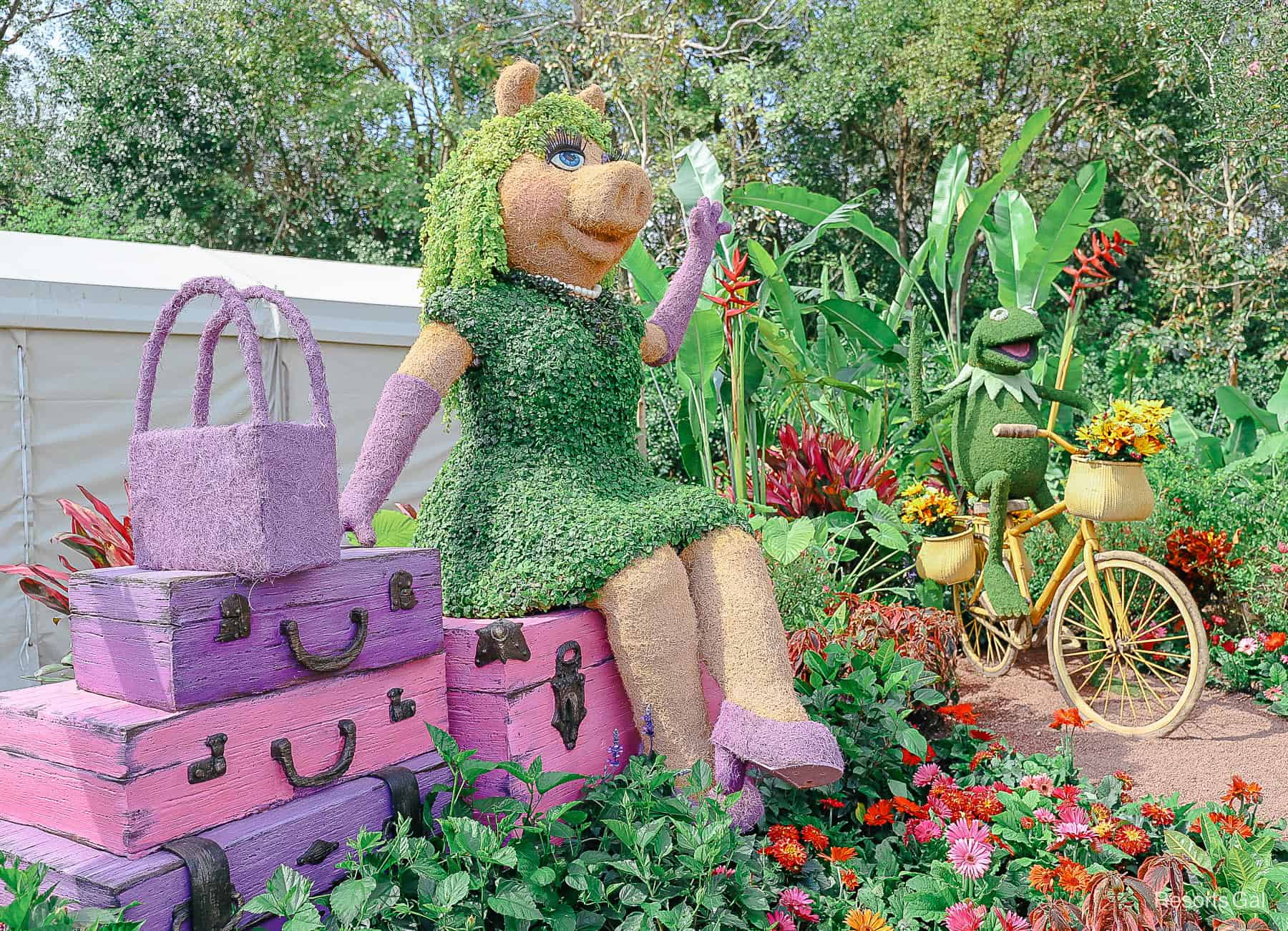 Kermit the frog and Miss Piggy topiary at Epcot 