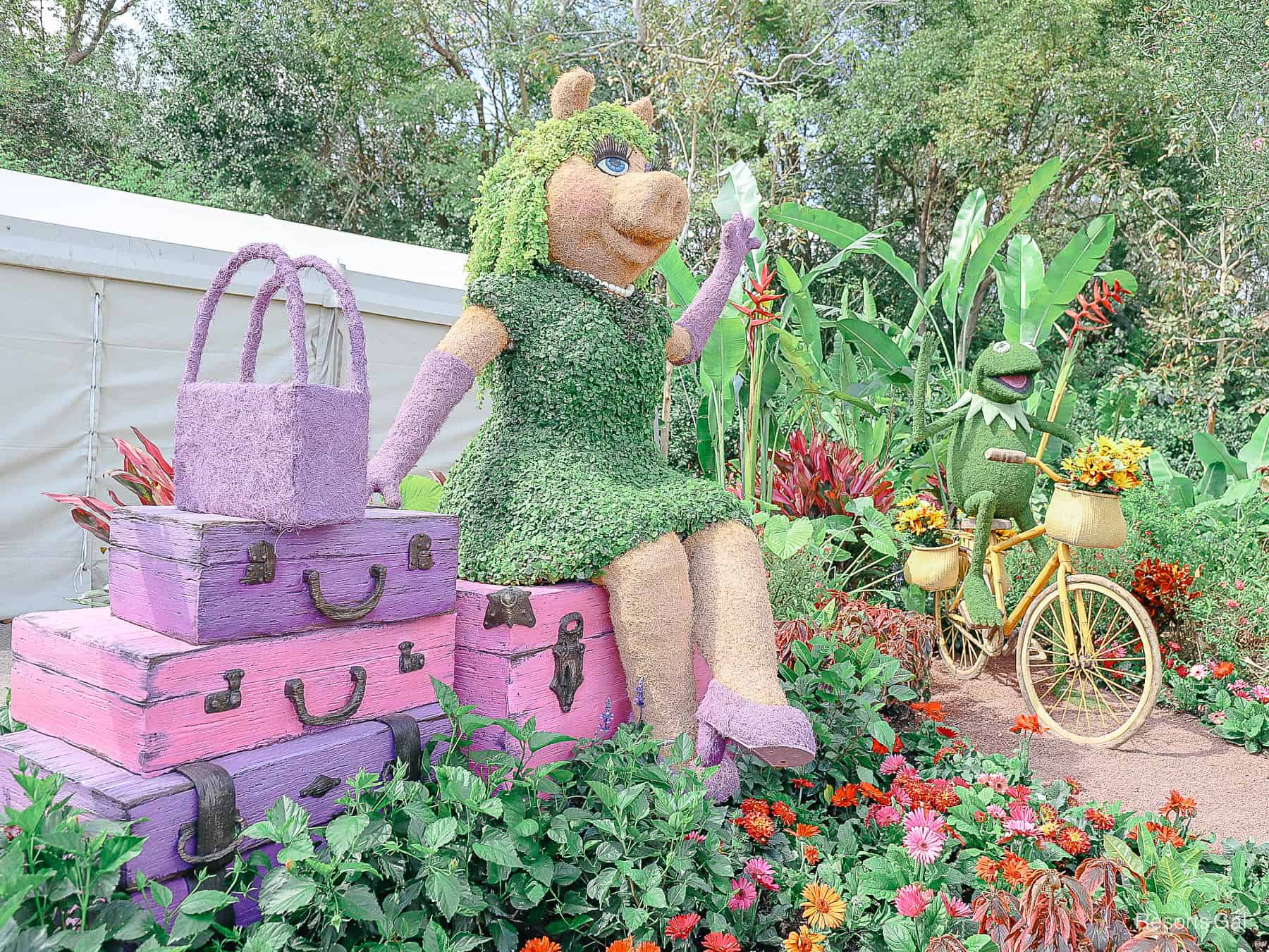 Kermit and Miss Piggy at the Epcot Flower and Garden Festival in topiary form