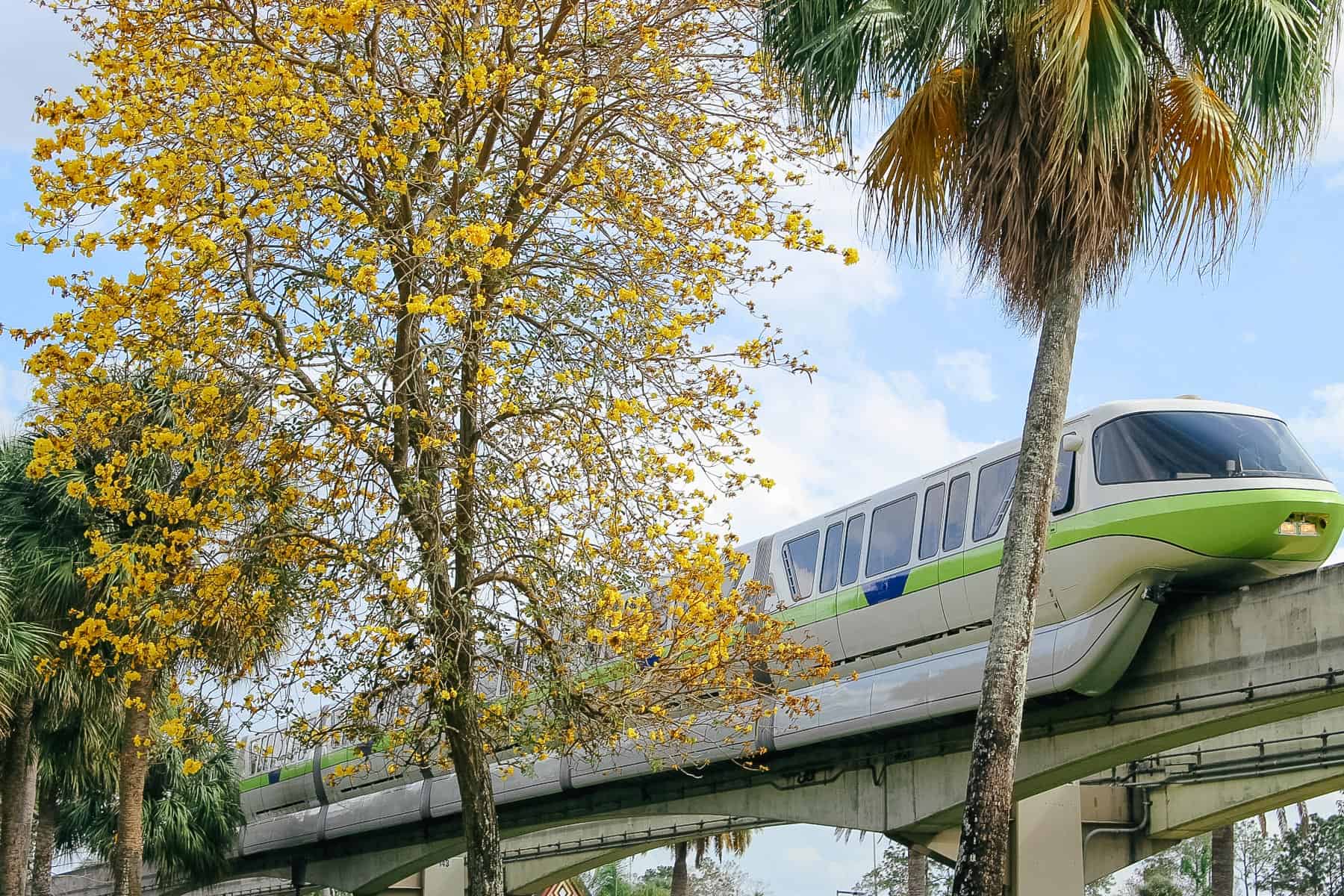 monorail at the Polynesian 