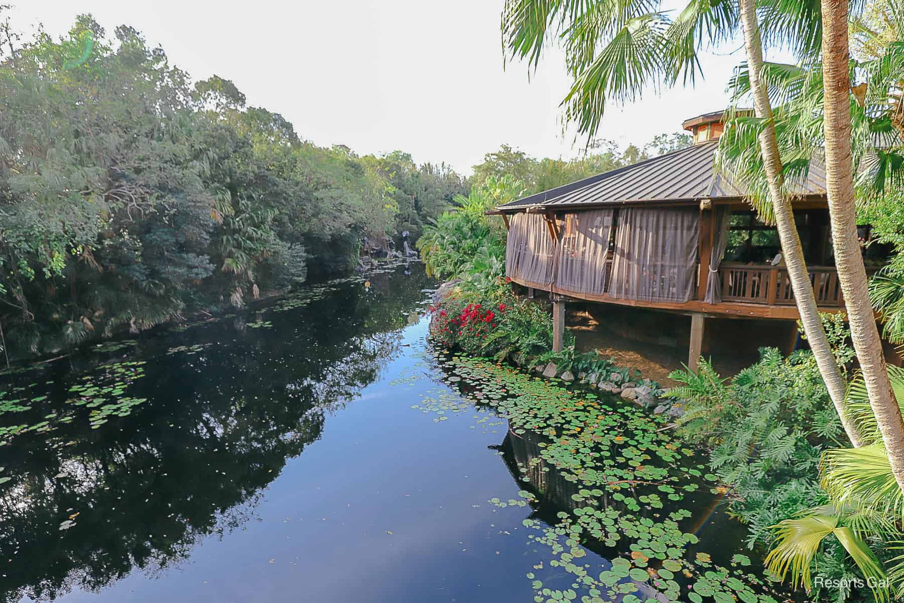 Nomad Lounge sits over the Discovery Island River at Disney's Animal Kingdom 