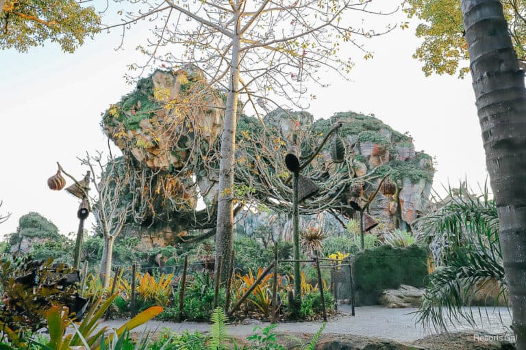 A Resorts Gal Guide to Pandora, World of Avatar (Disney's Animal Kingdom)