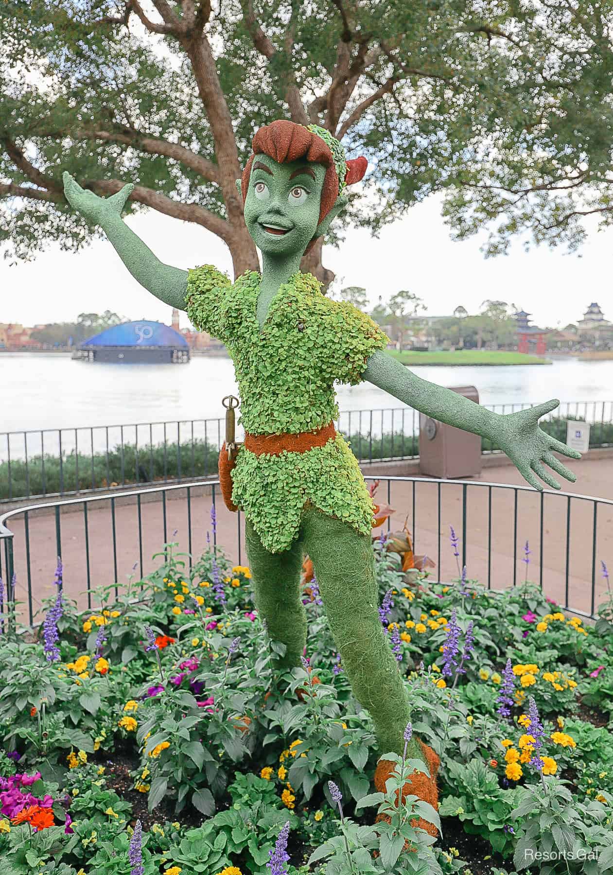 Peter Pan has a bright red feather in his cap in his topiary form. 