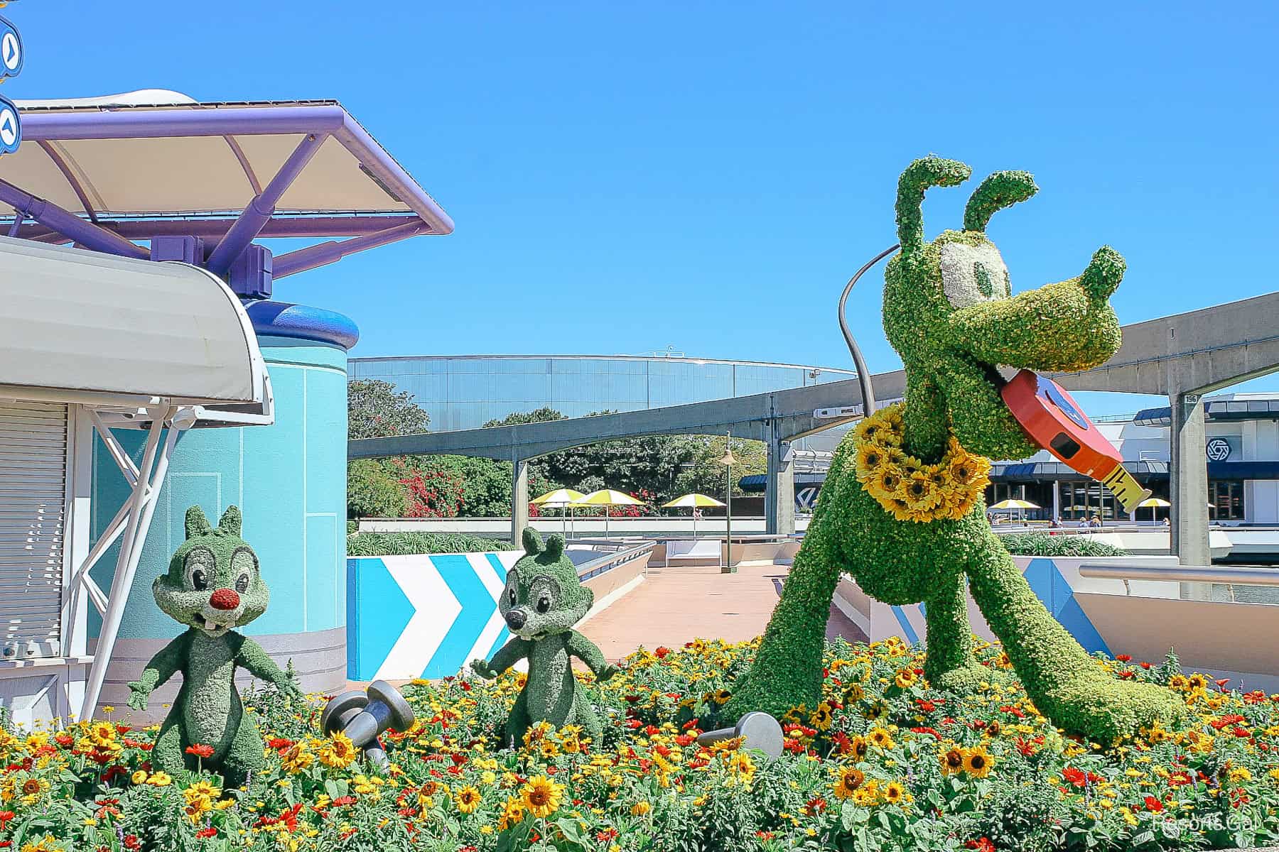 Pluto and Chip and Dale at the Taste of the Epcot International Flower and Garden Festival in 2021. 