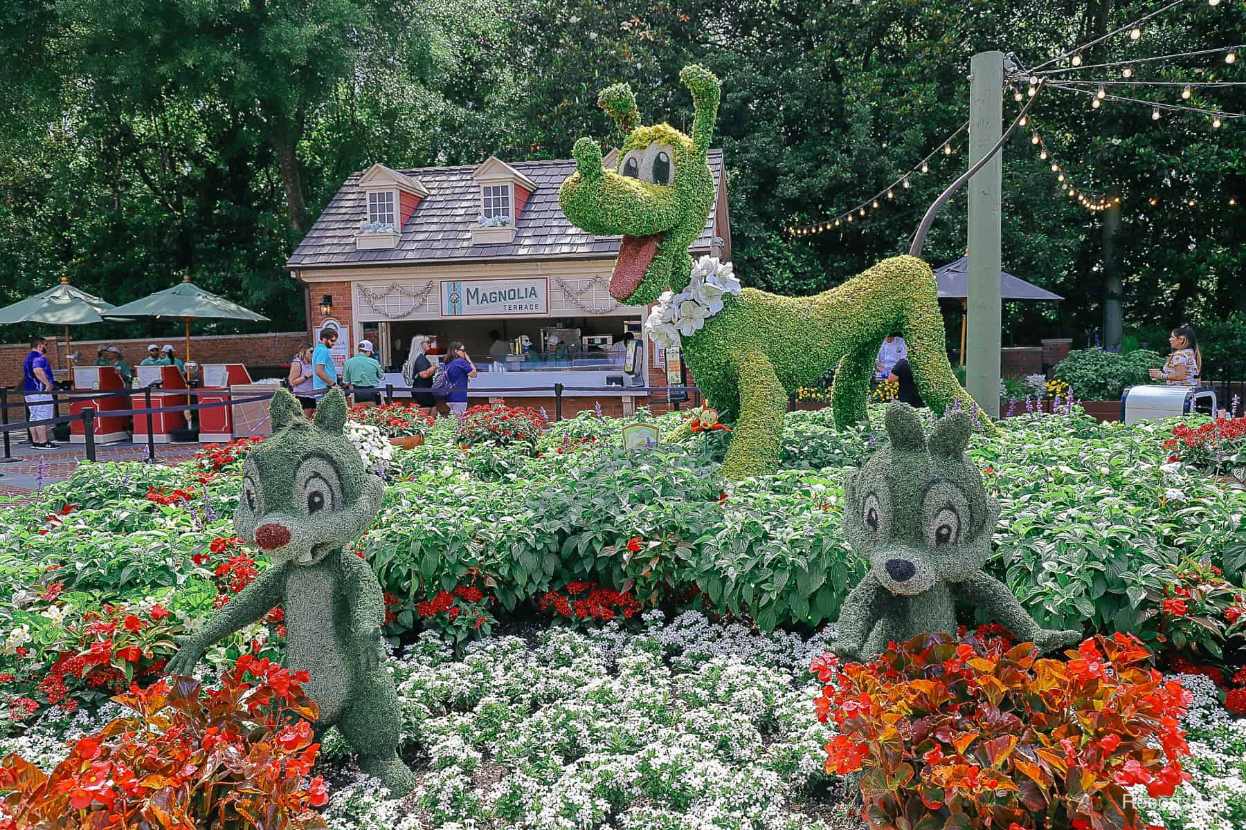 Through the Years: Pluto with Chip and Dale’s Character Topiaries at Epcot’s Flower and Garden Festival