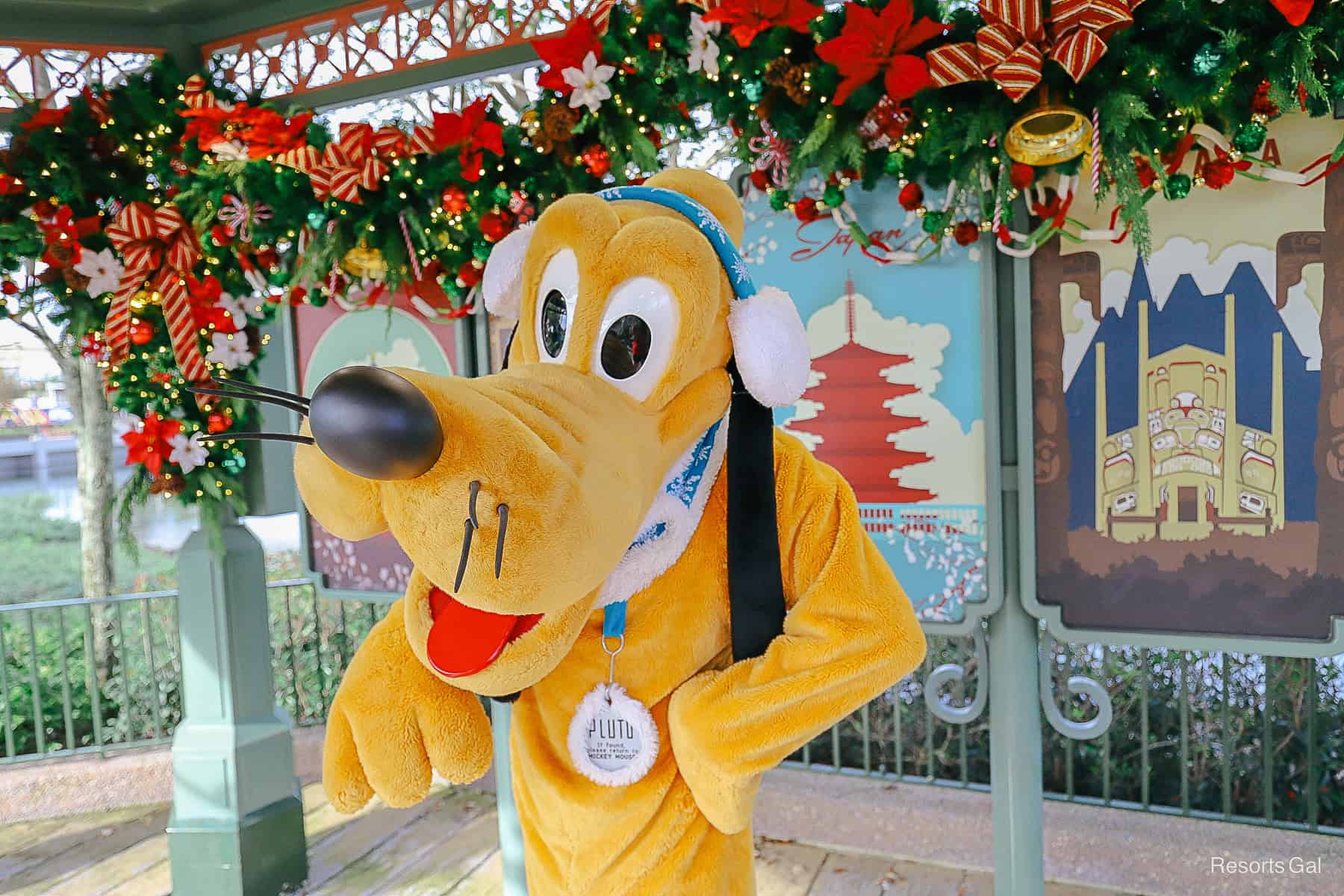 Pluto at Christmas with ear muffs and scarf 