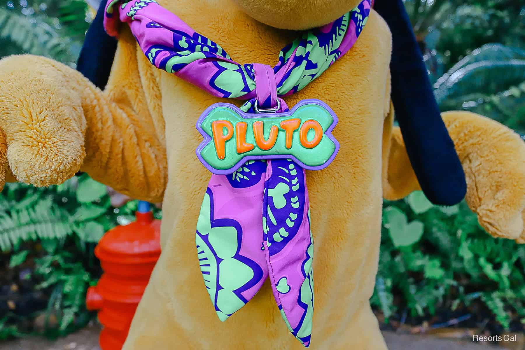 Pluto dog tag at Donald's Dino Bash 