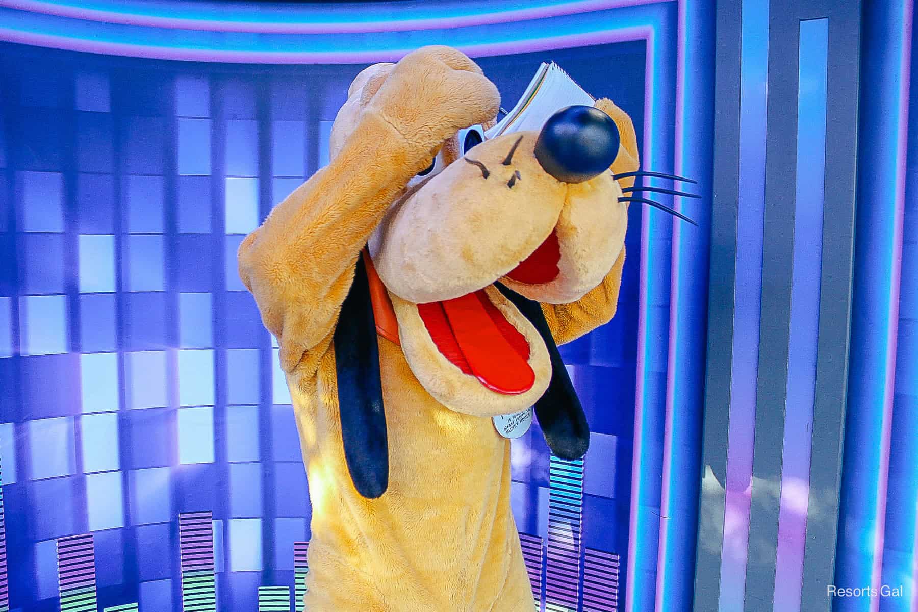 Pluto signs his signature on his nose. 