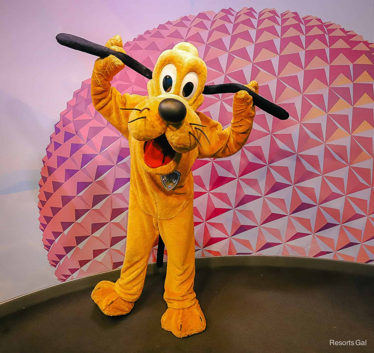 Character Spotlight: Pluto at Walt Disney World | Resorts Gal