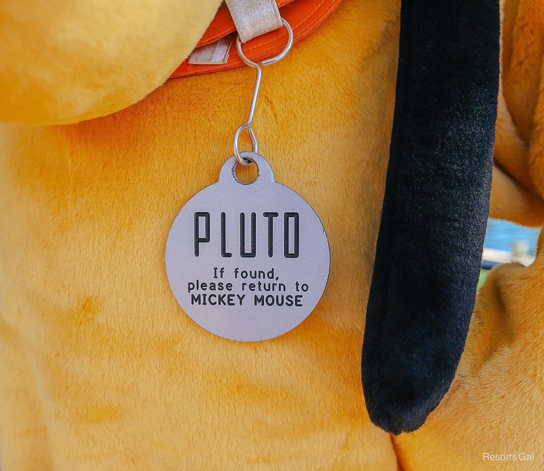 Pluto's traditional dog tag reads "Pluto If found, please return to Mickey Mouse." 