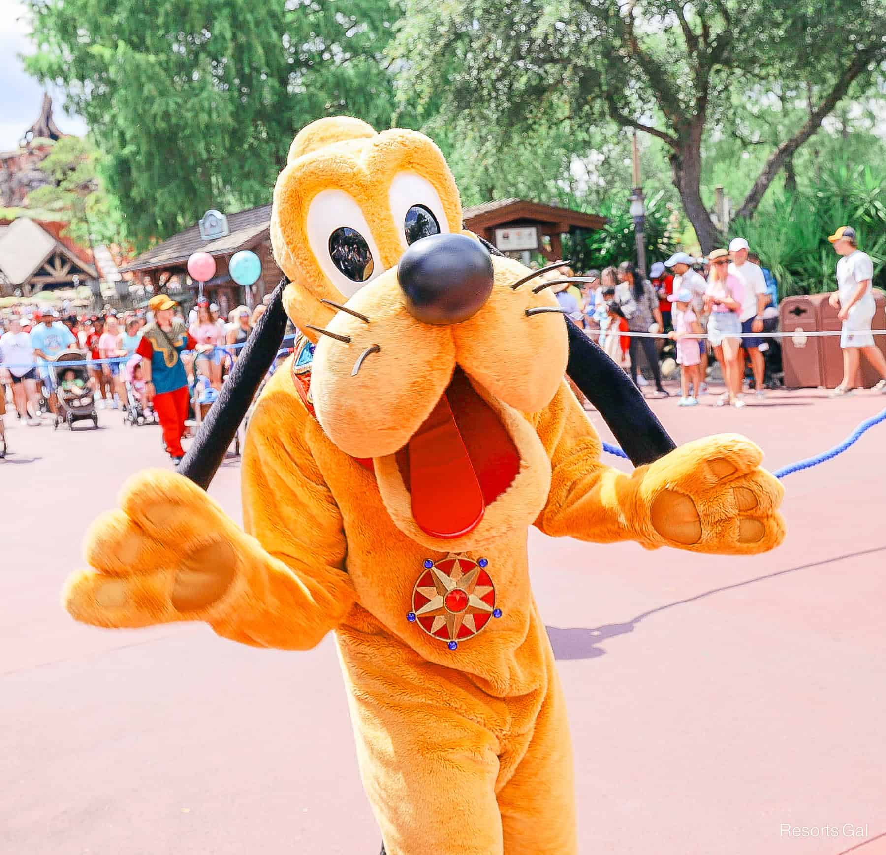 Pluto in the Festival of Fantasy Parade 