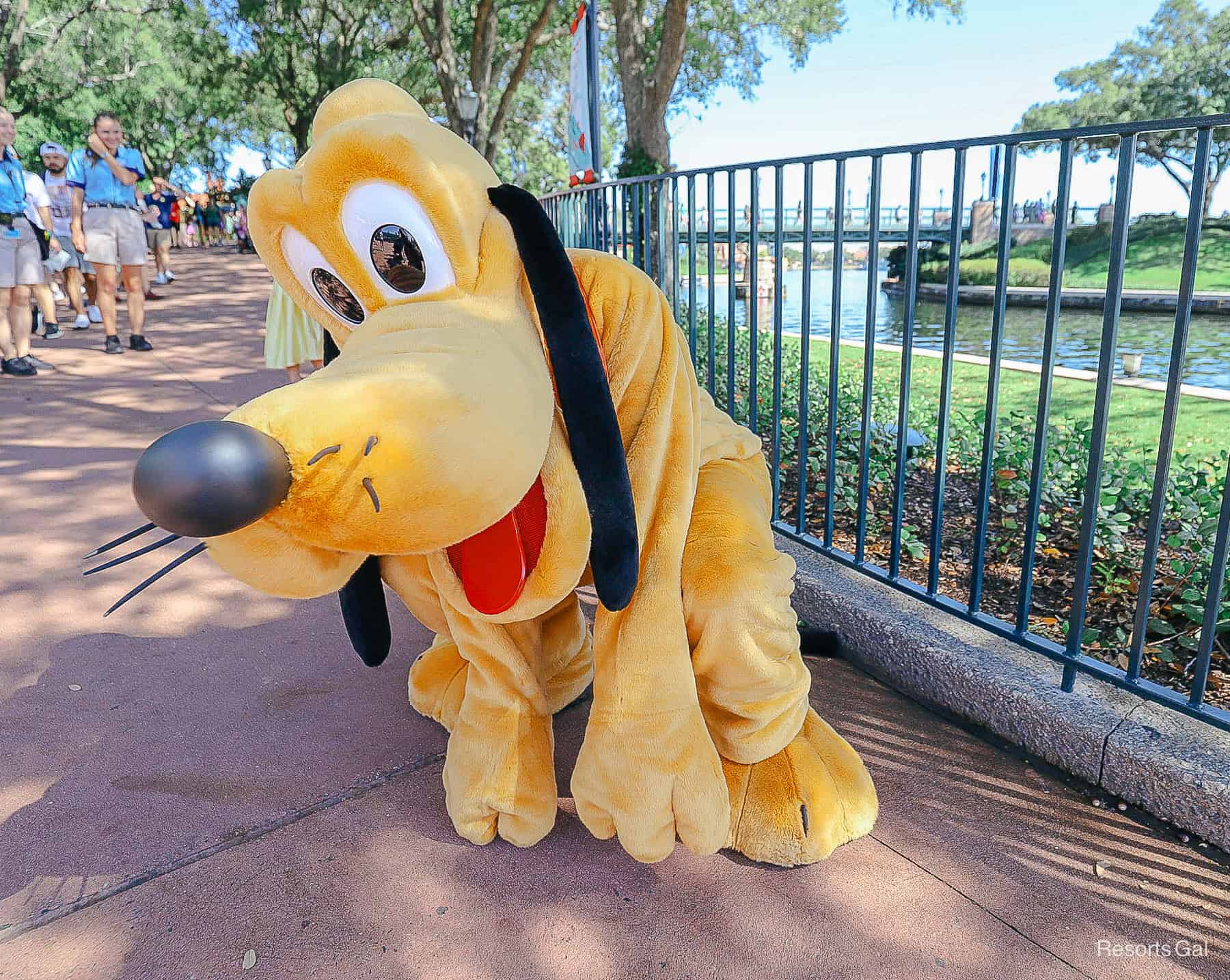 Pluto acts like a dog at Epcot. 