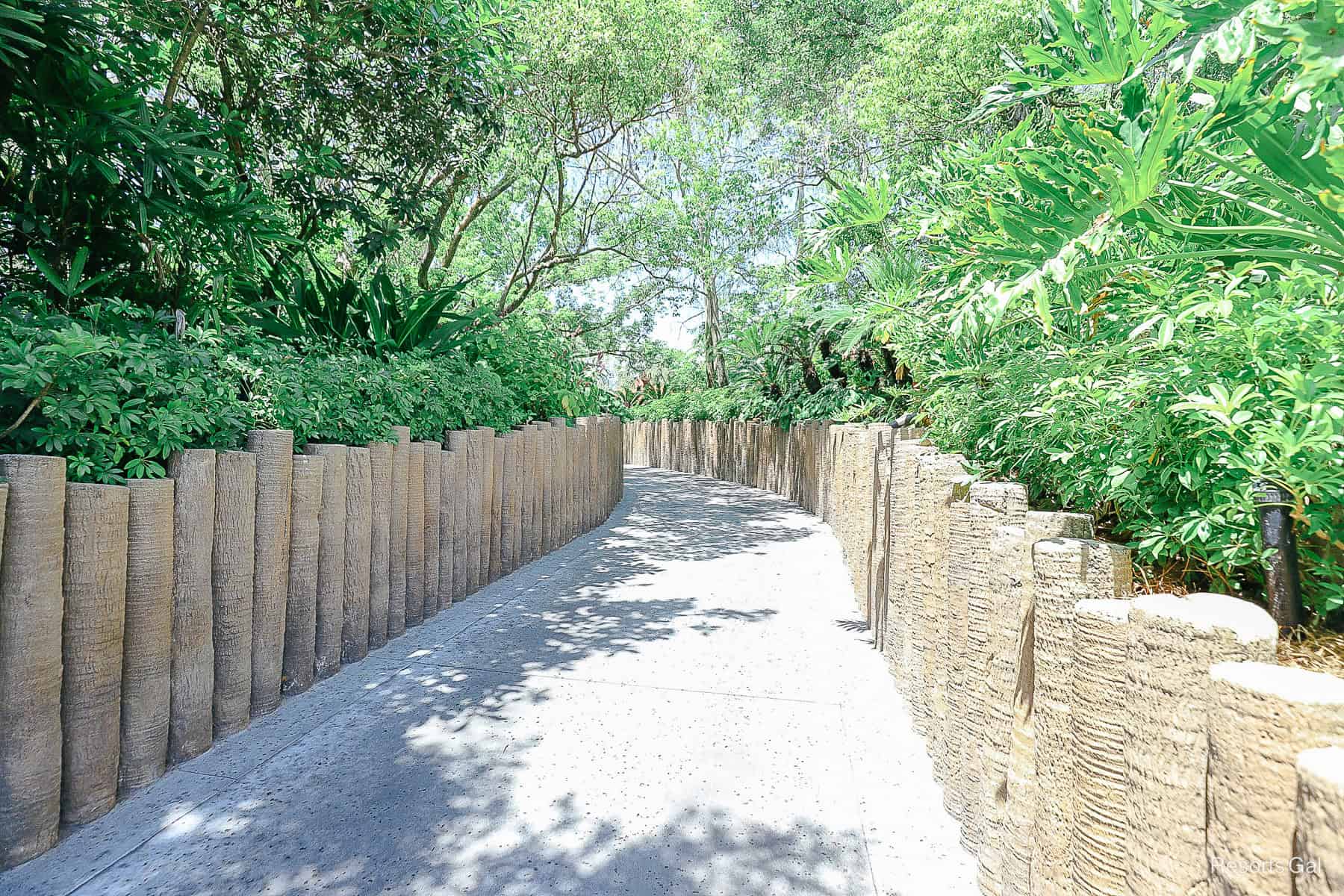 the walking path that connects Disney's Polynesian and the TTC 