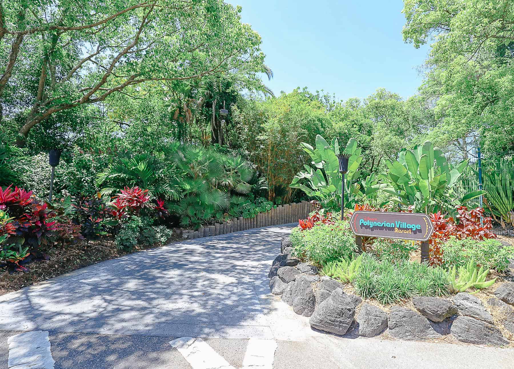 a scenic entryway to Disney's Polynesian from the Transportation and Ticket Center 