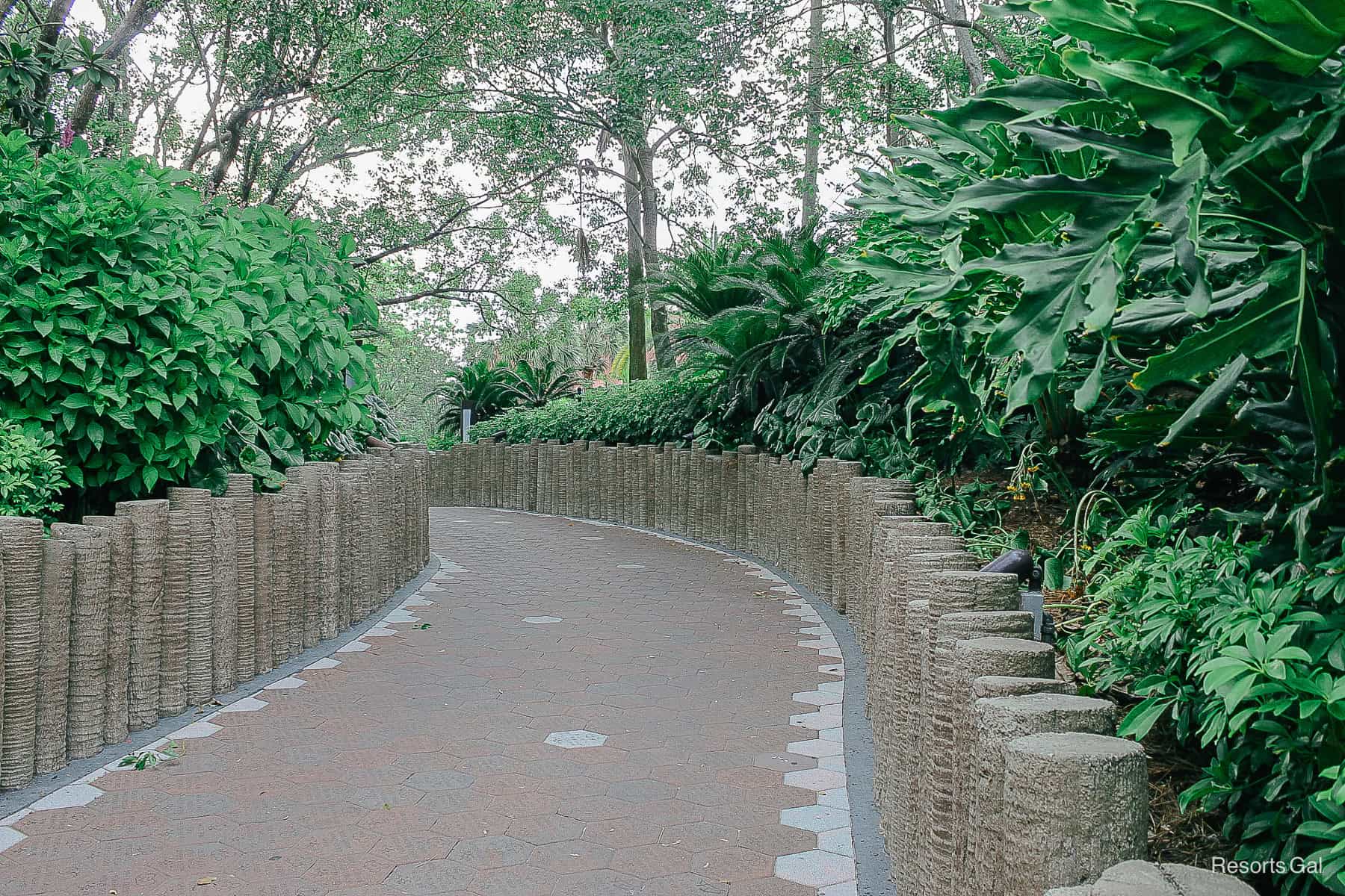 a shaded pathway