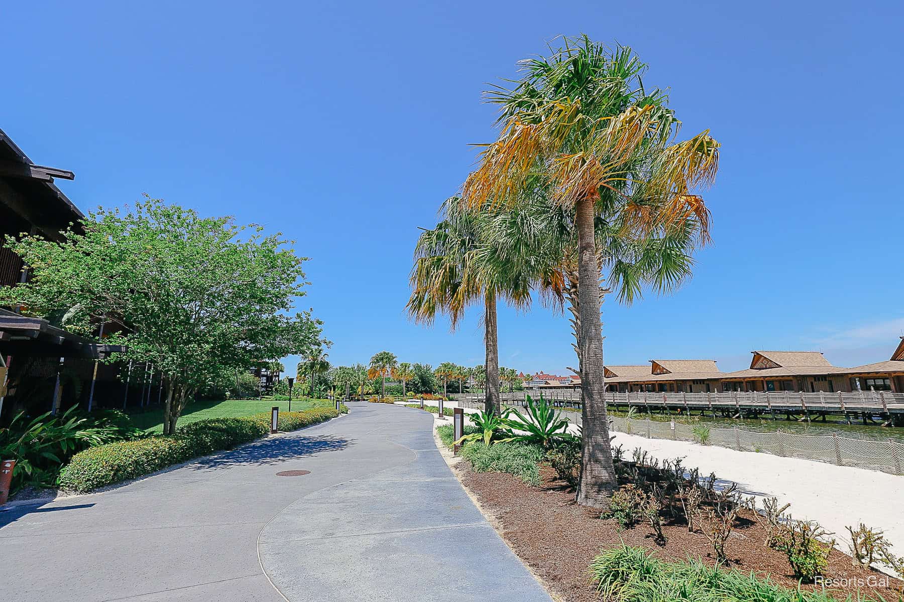 the walkway along Seven Seas Lagoon that runs between the Polynesian and TTC 