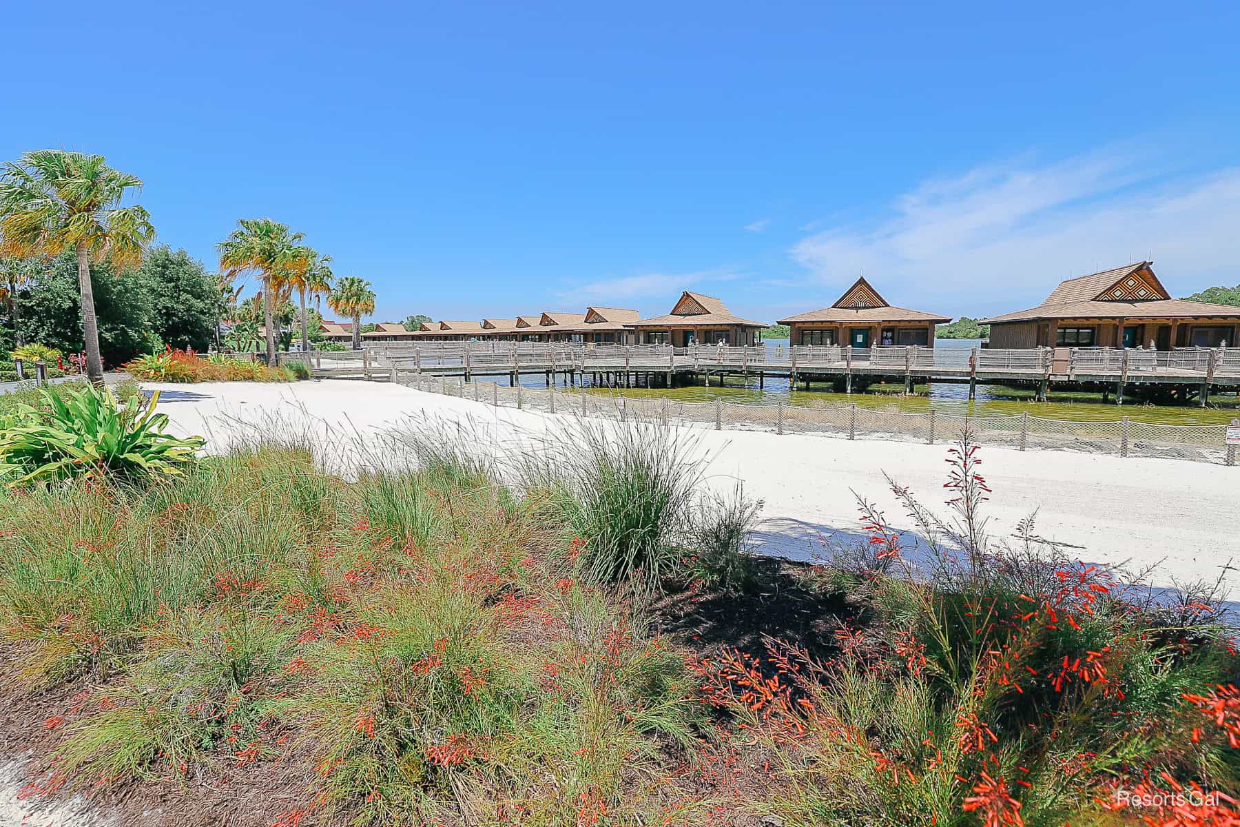 a pretty area with a beach on the scenic walk between the Polynesian and Transportation and Ticket Center 