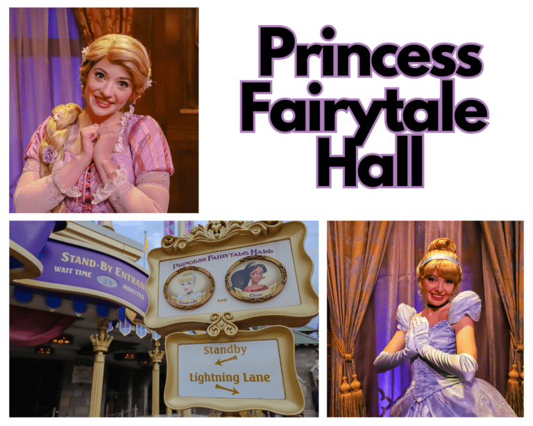 Princess Fairytale Hall (Meet Princesses at Magic Kingdom)