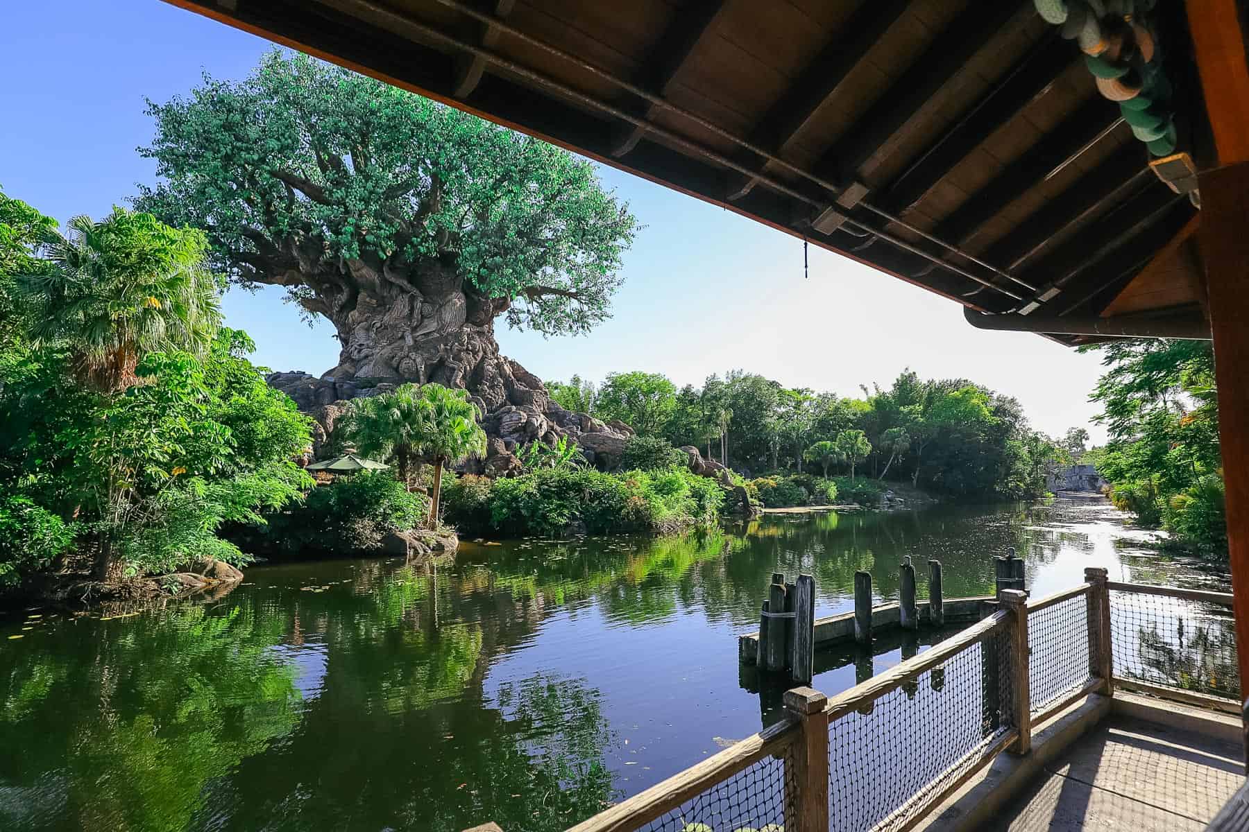 a view of the Tree of Life from one of the dining areas along the water at Animal Kingdom near Yak and Yeti 