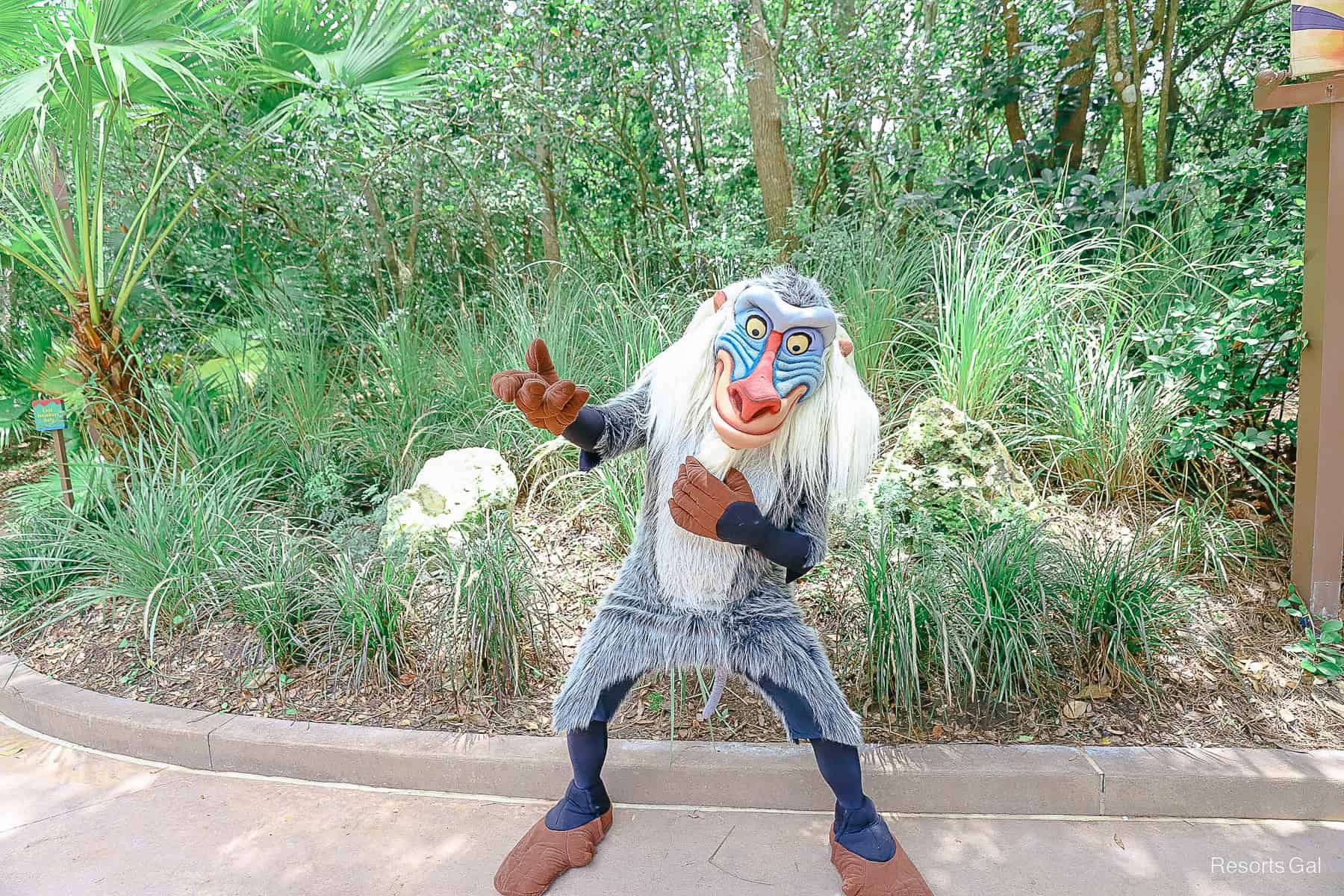Rafiki poses for the camera with an arm extended. 