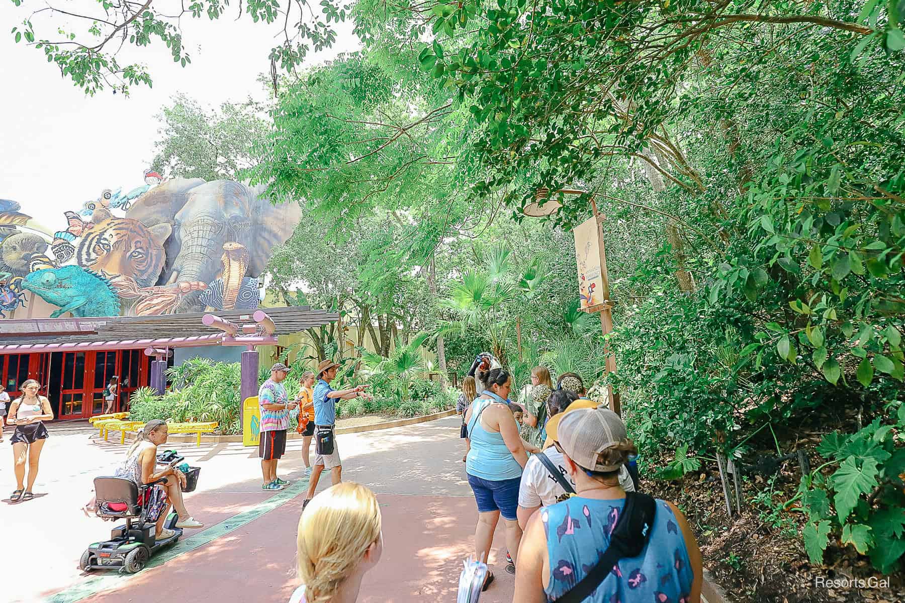 guests waiting in line to meet Timon and Rafiki 