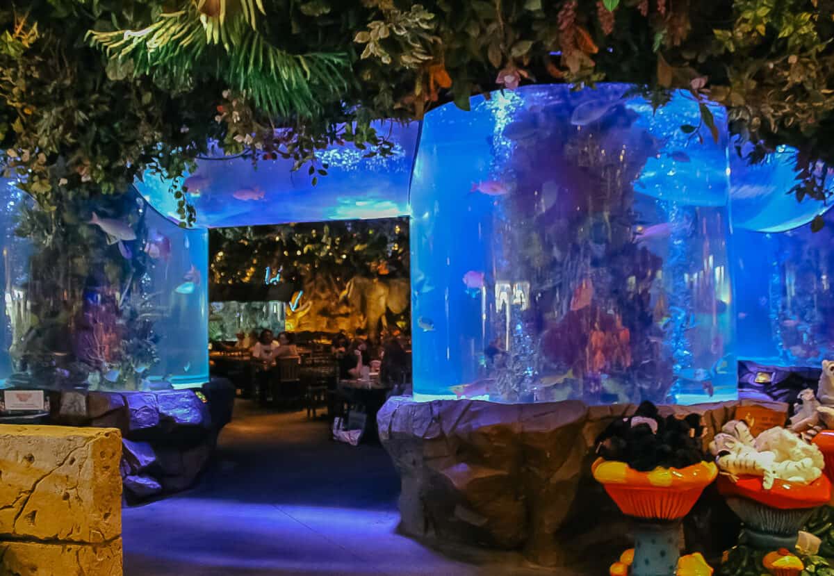 A Review of the Rainforest Cafe at Disney Springs