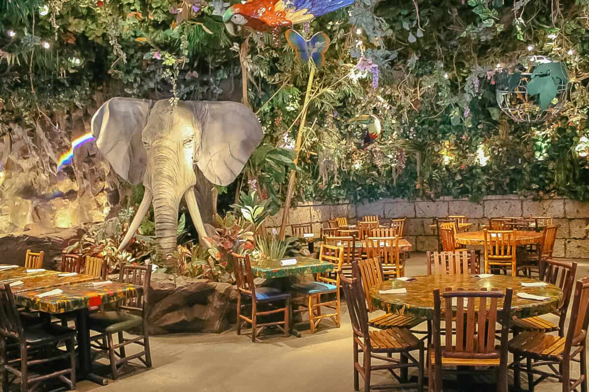 A Review of the Rainforest Cafe at Disney Springs