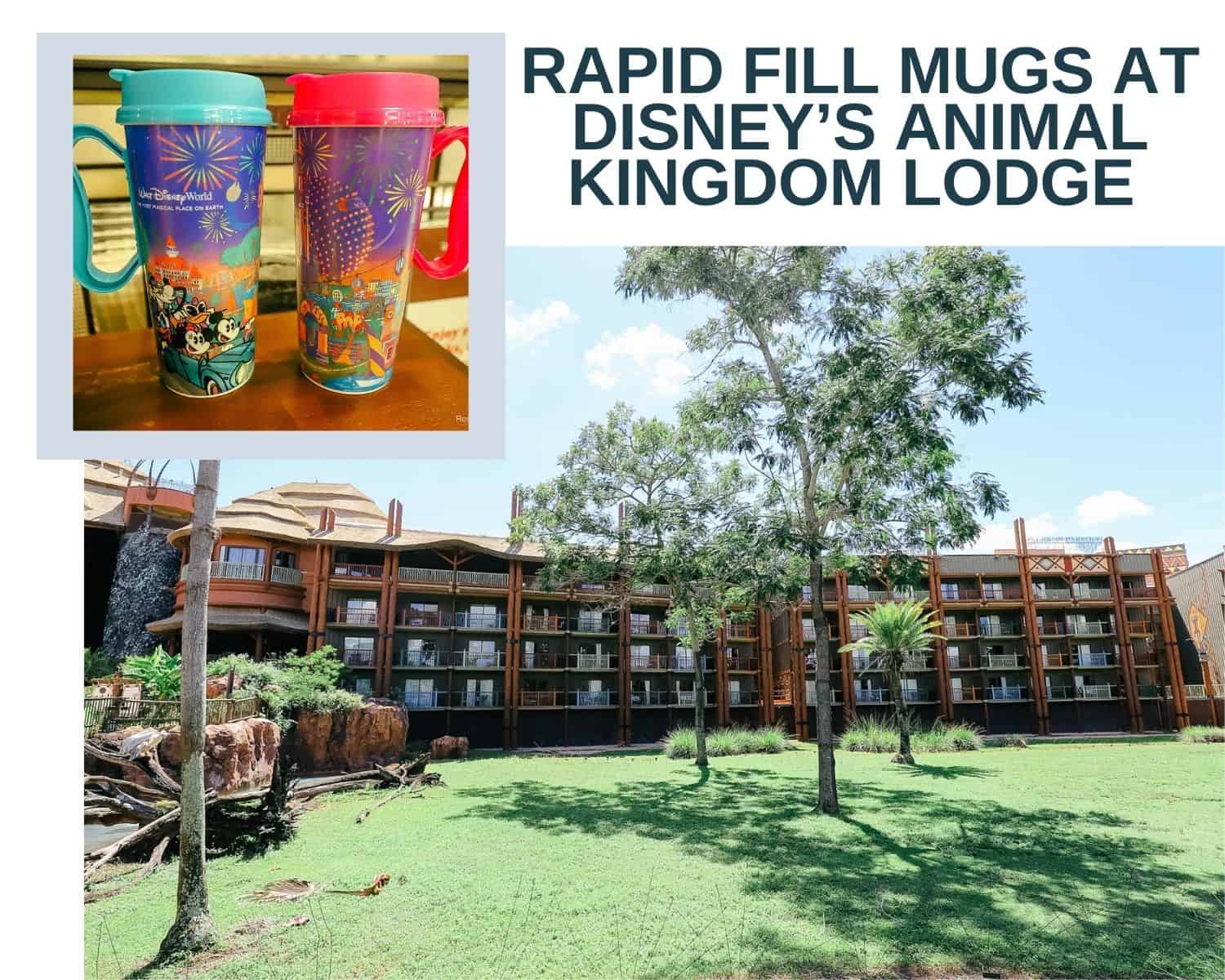 The 3 Places to Refill Rapid Fill Mugs at Disney’s Animal Kingdom Lodge and Kidani Village