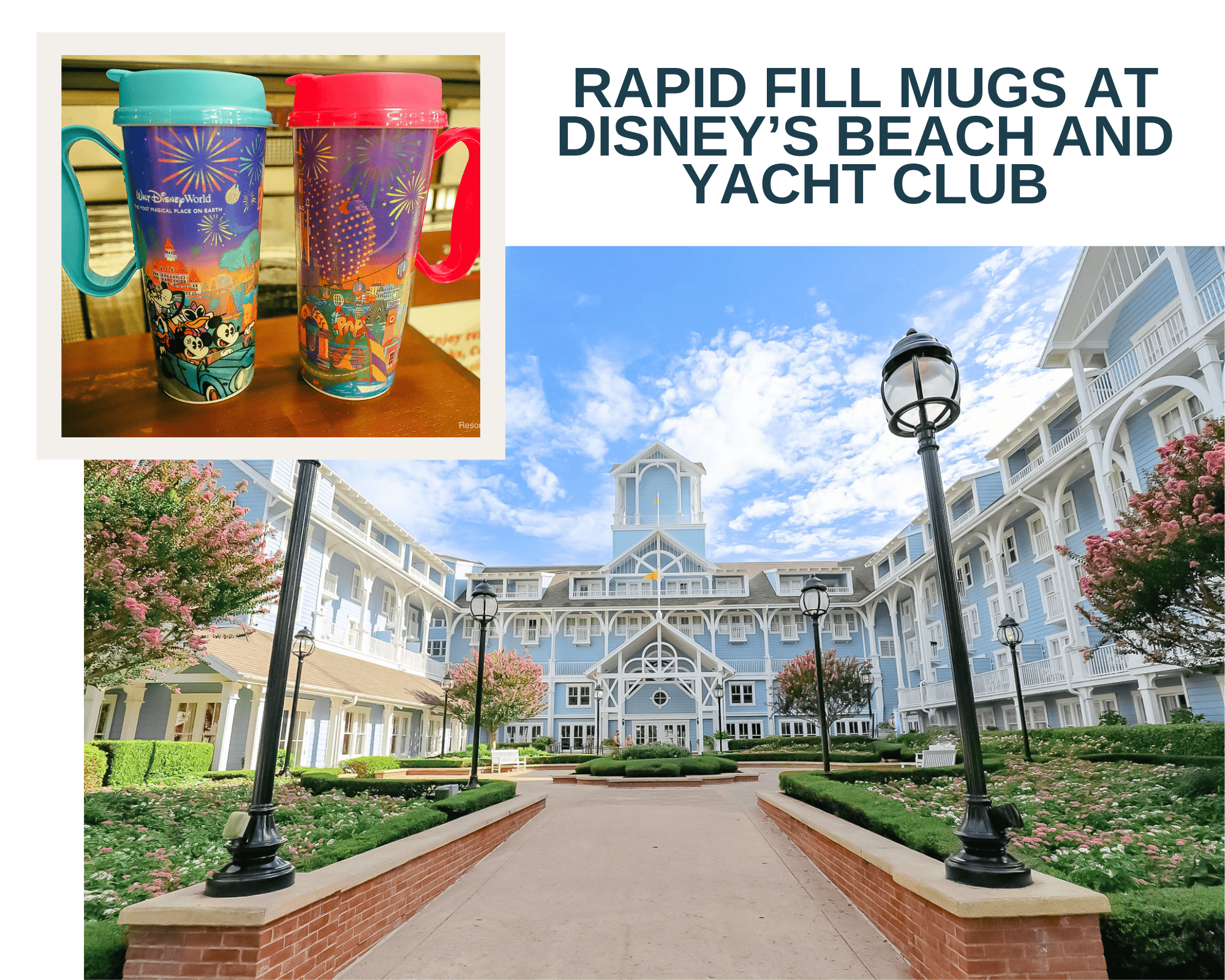The 3 Places to Refill Rapid Fill Mugs at Disney’s Beach and Yacht Club (2024)