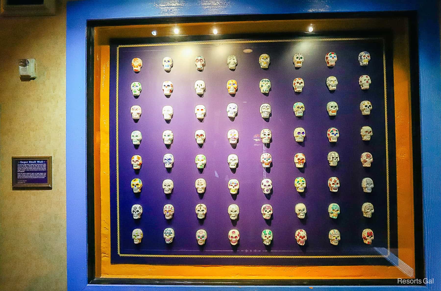 a display with candy skulls made of sugar 