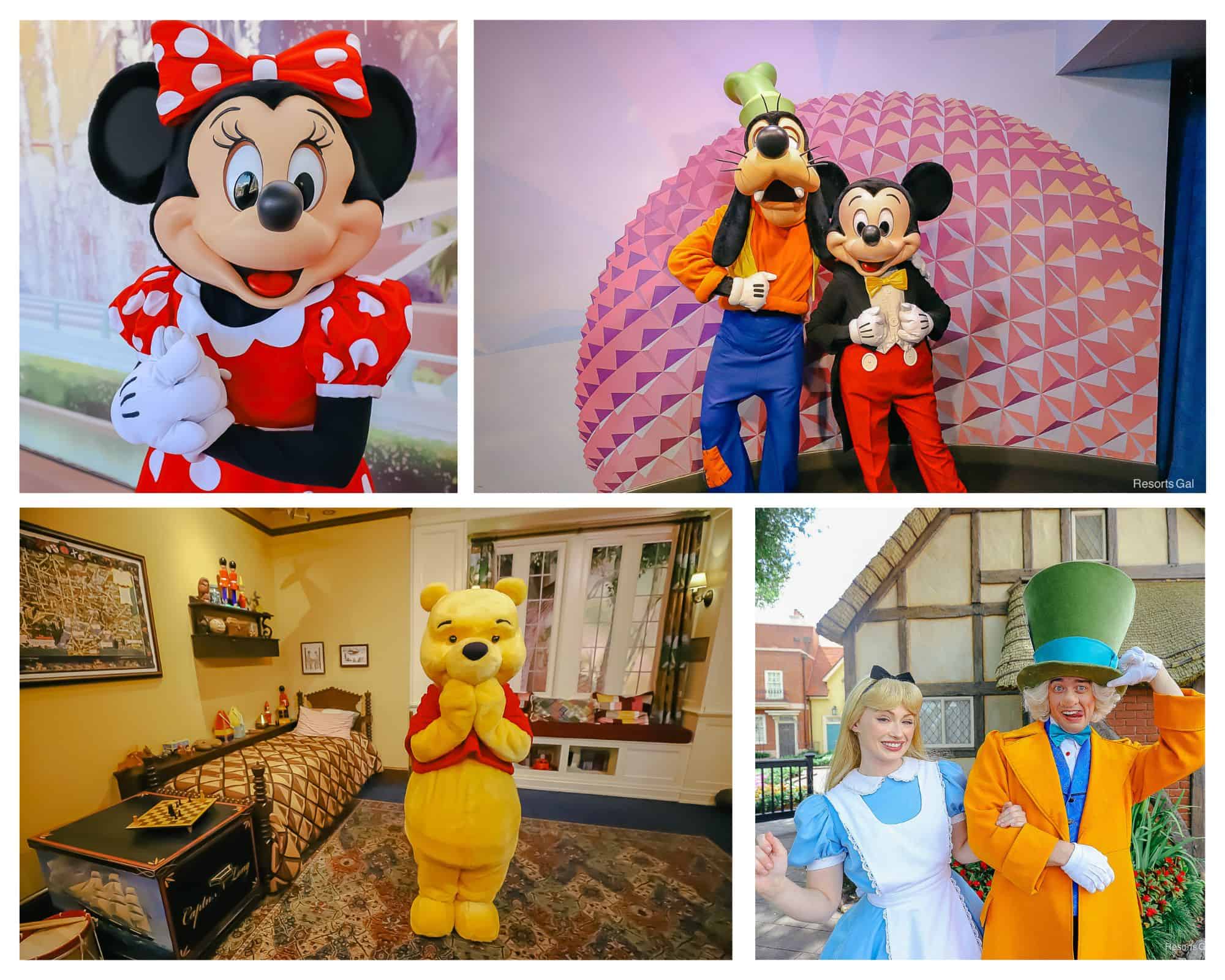 Collage Image of Characters from Disney World