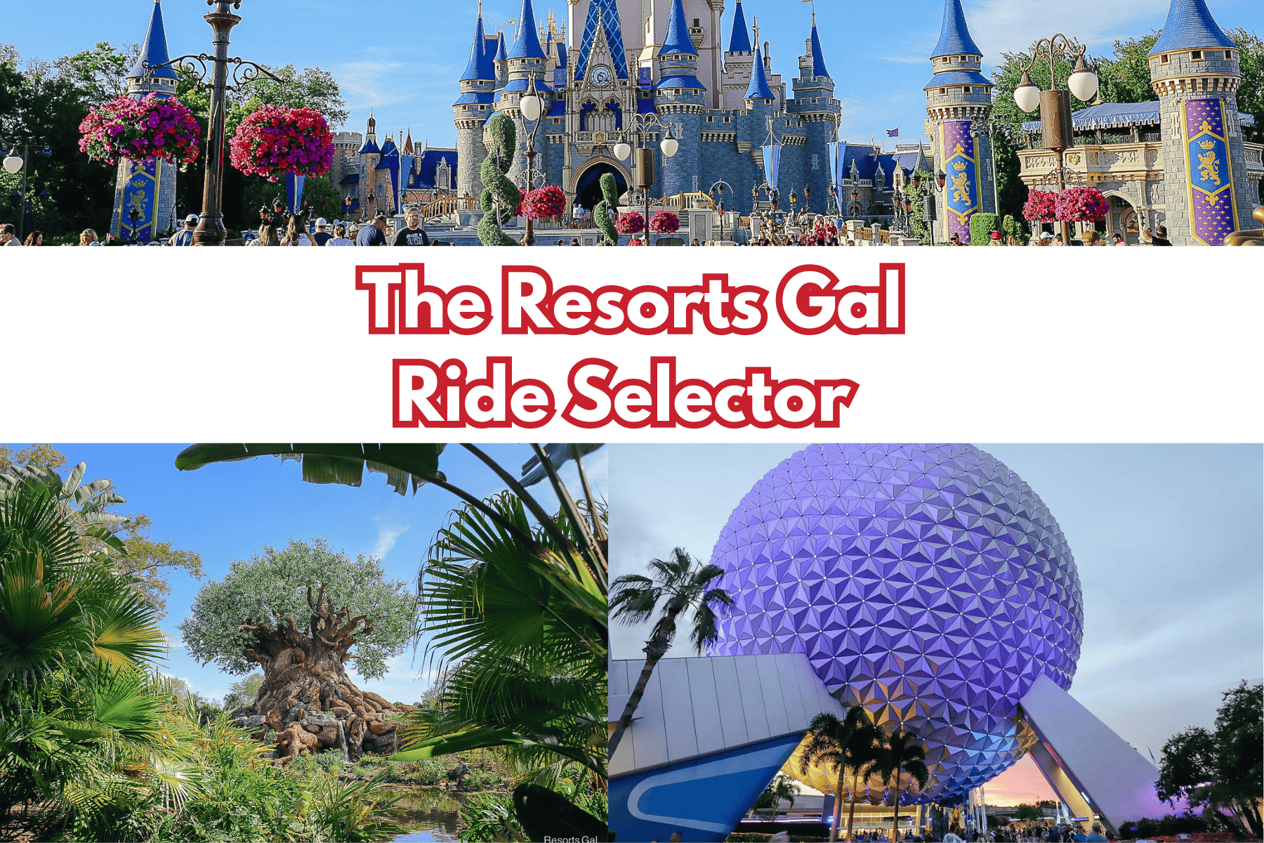The Resorts Gal Ride Selector Guide