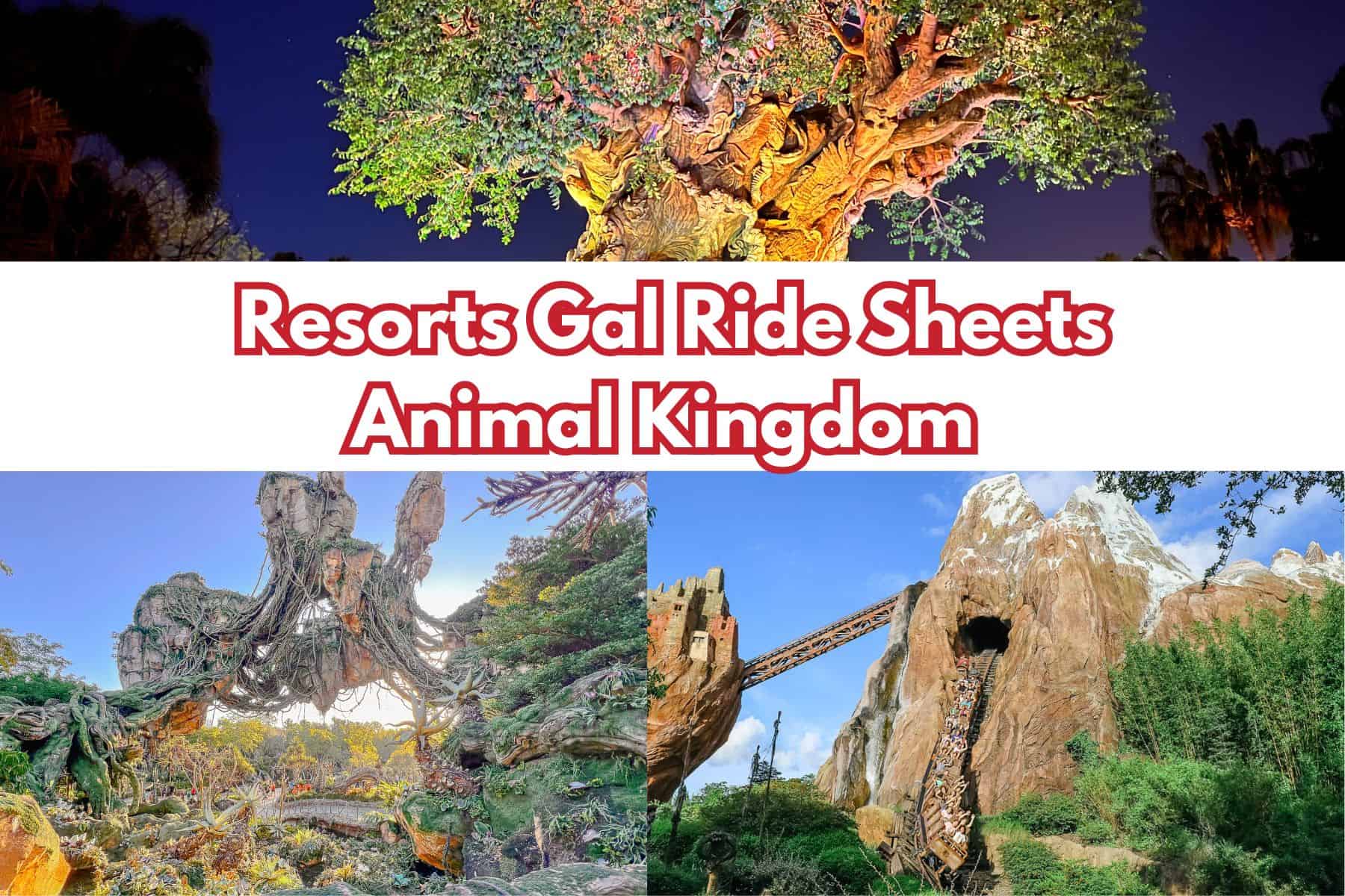 A Free Ride Spreadsheet for Disney’s Animal Kingdom to Help You Plan