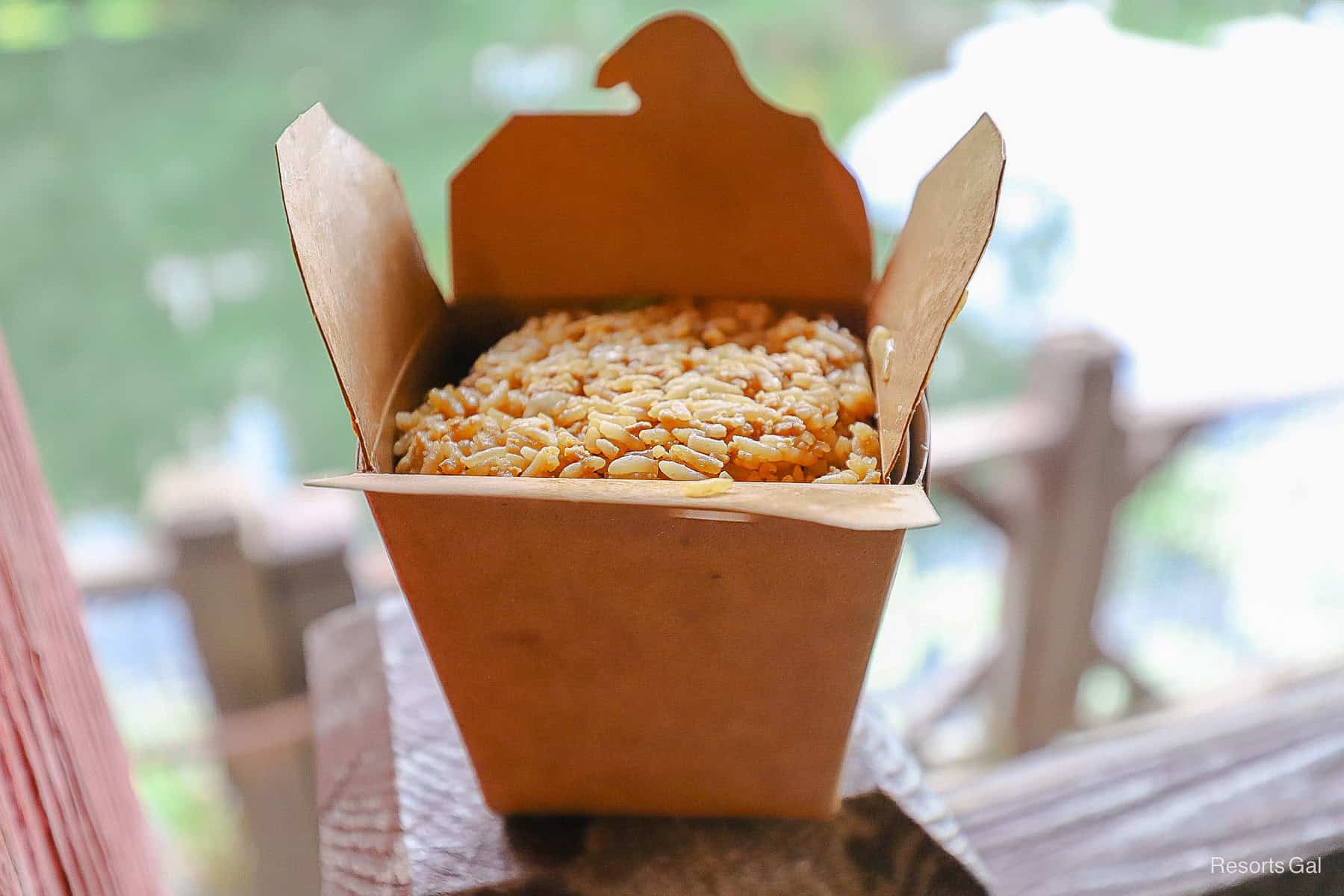chicken fried rice order from Animal Kingdom 