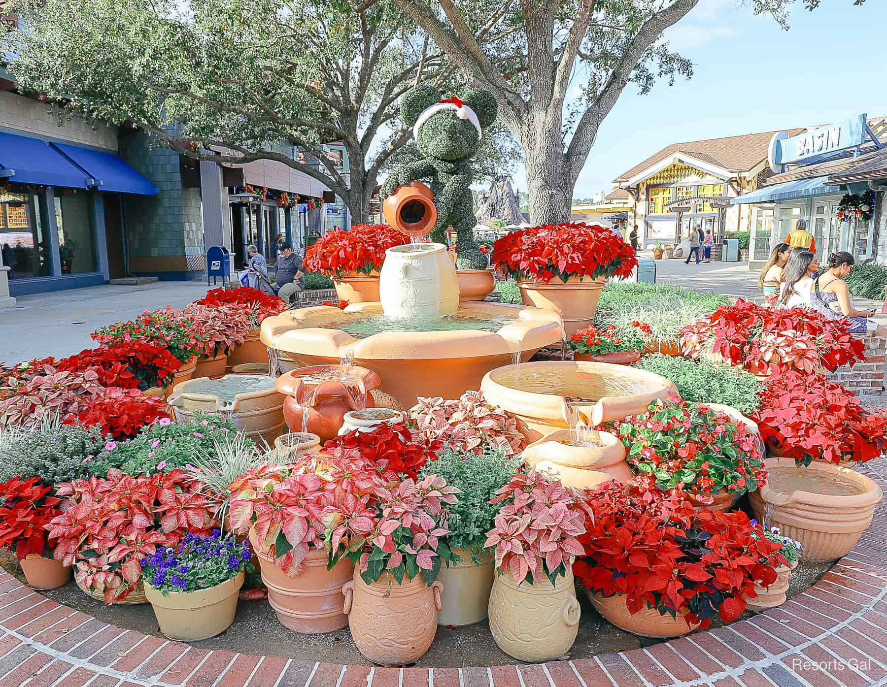 a grouping of potted poinsettias in different shades with a topiary Santa hat Mickey Mouse at Disney Springs 