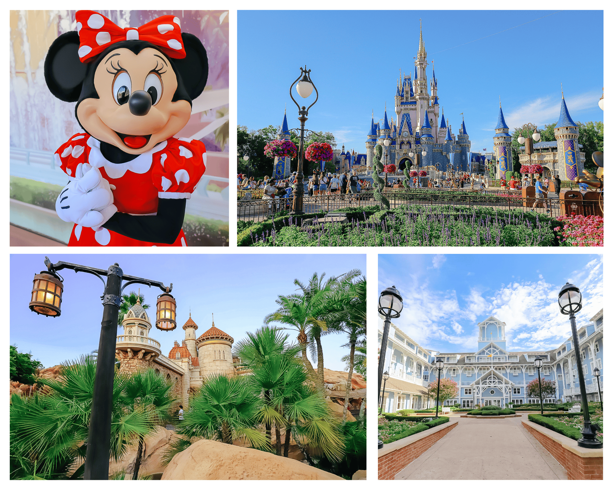 a collage of four images representing Disney World