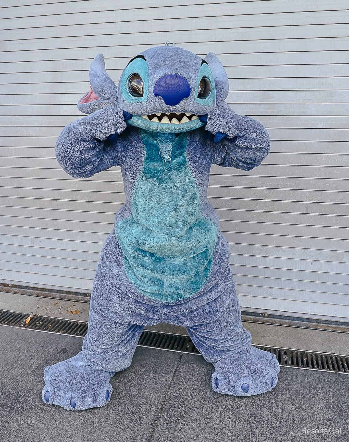 Stitch poses with a wide smile 