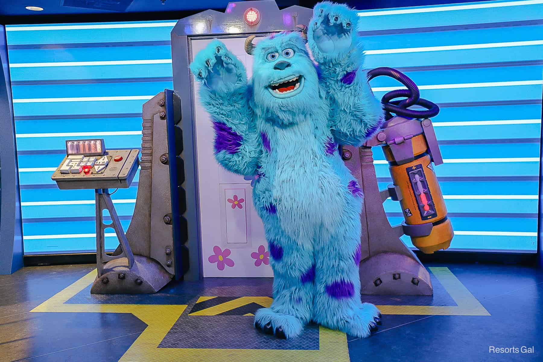 Sulley when he met alone at Walt Disney Presents