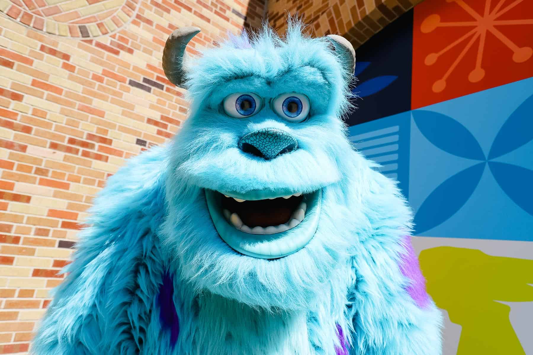 Sulley from Monsters, Inc. 