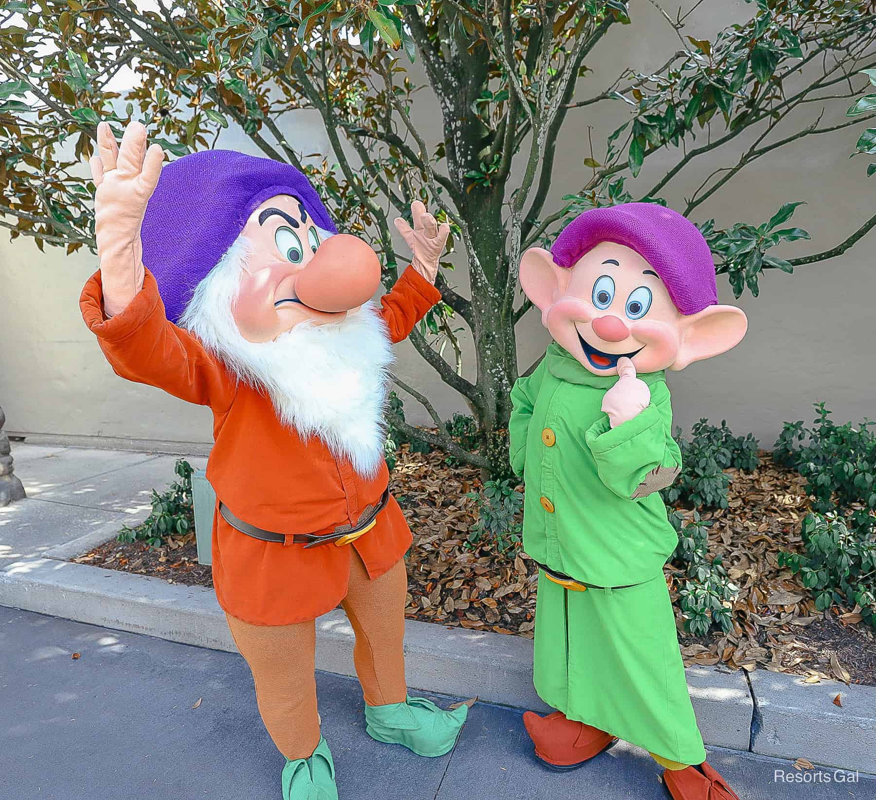 Grumpy and Dopey of the Seven Dwarfs 