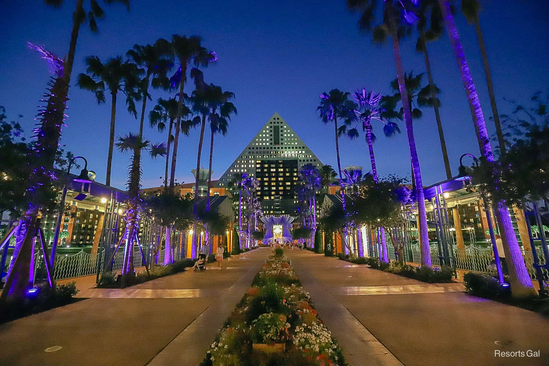 the causeway with purple lights 