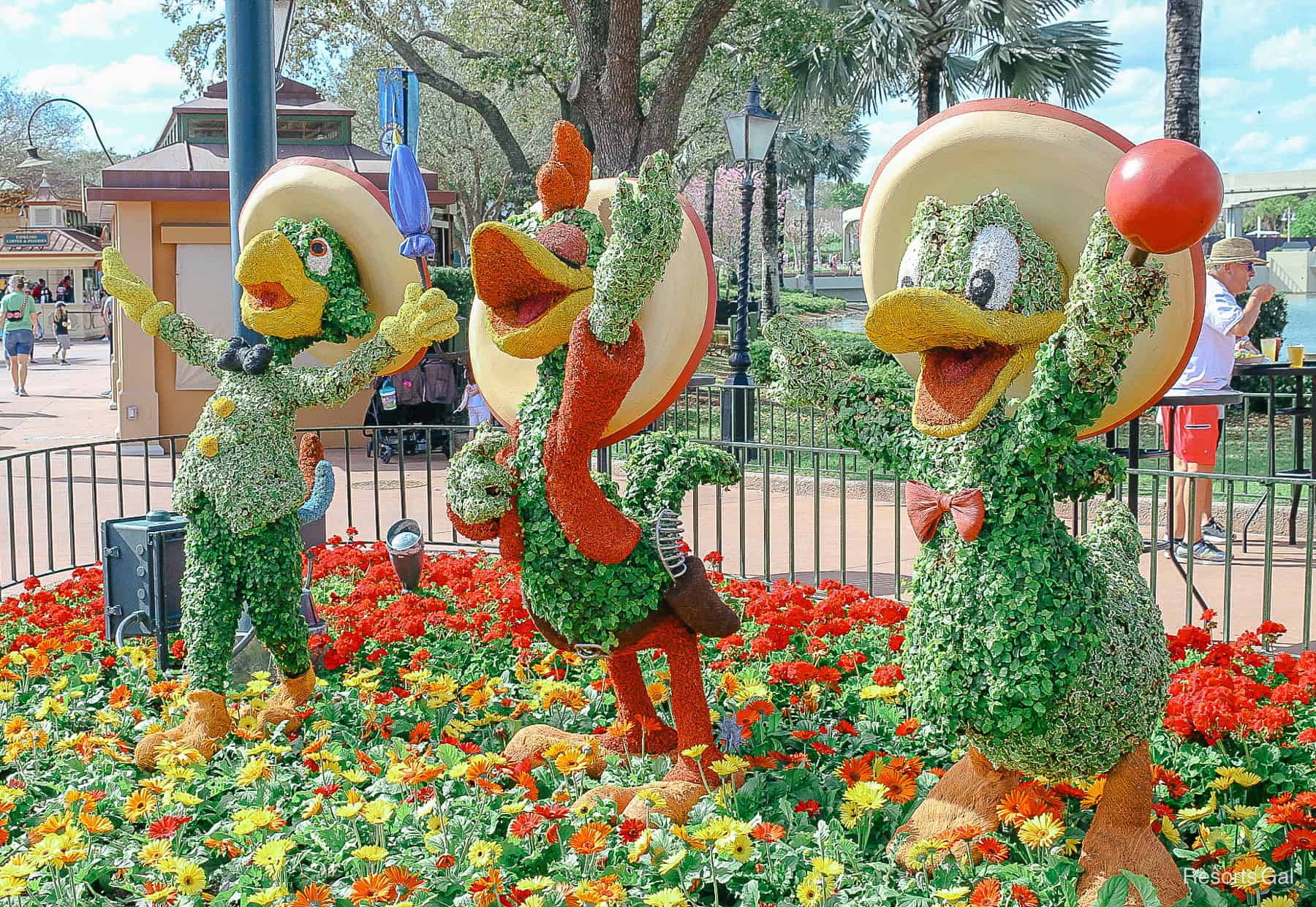 angle view of the three surrounded by yellow, orange, and red flowers 