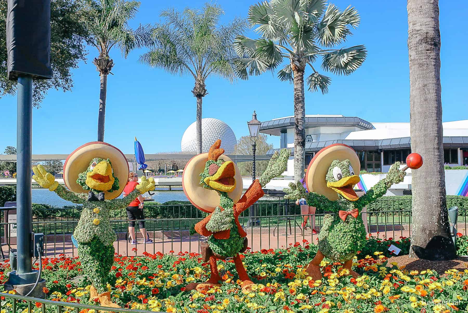 The Three Caballeros topieary appears to be serenading guests as they walk by. 